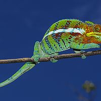 2015-04-15 14-09-27