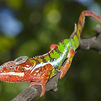 2015-04-19 11-04-34