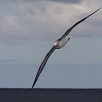 2009-03-28 10-06-34