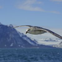 2014-07-13 15-34-21