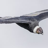 2017-02-22 08-32-54-3